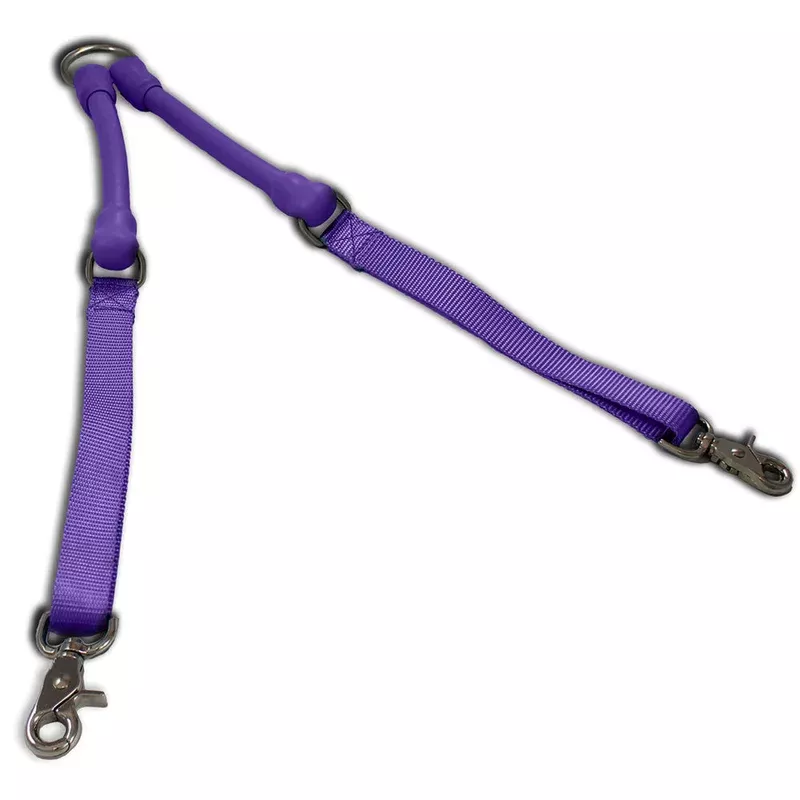2-dogs-on-1-leash-crazycoupl-r 2 Dogs on 1 Leash – CRAZYcoupl’r