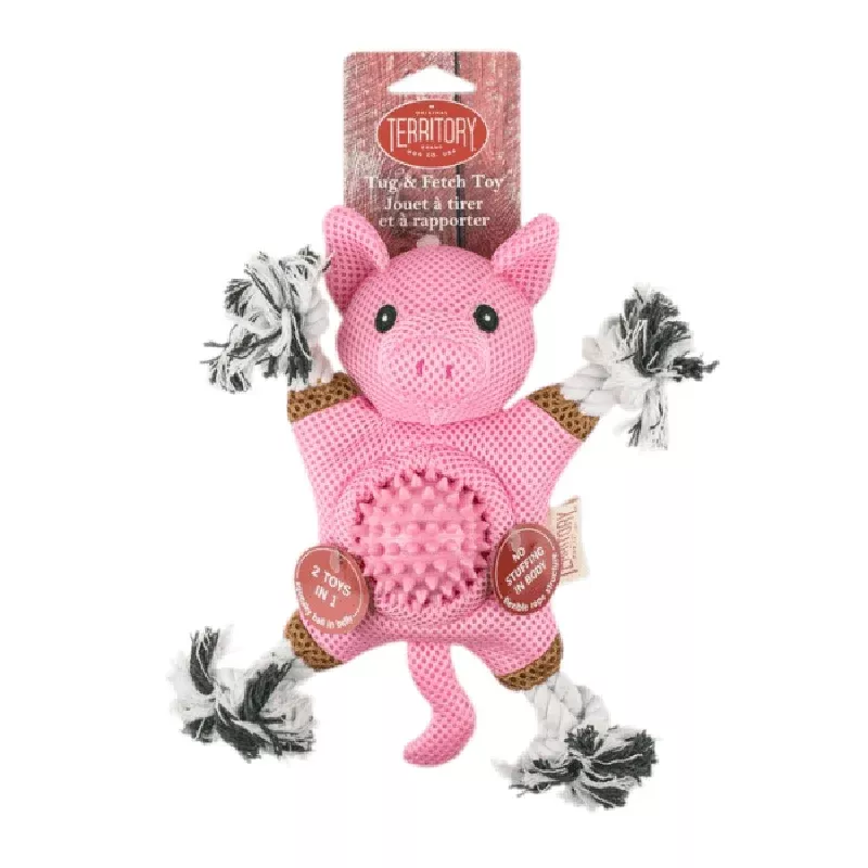 2-in-1 Farm Friends Pig 10″