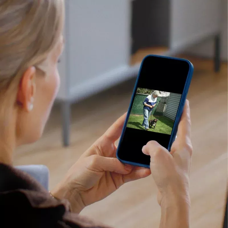 30-minute-dog-training-consultation 30-Minute Dog Training Consultation