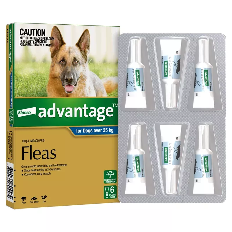 advantage-flea-treatment-dogs-25kg-blue-6-pack Advantage Flea Treatment for Dogs 25kg+ Blue 6 Pack