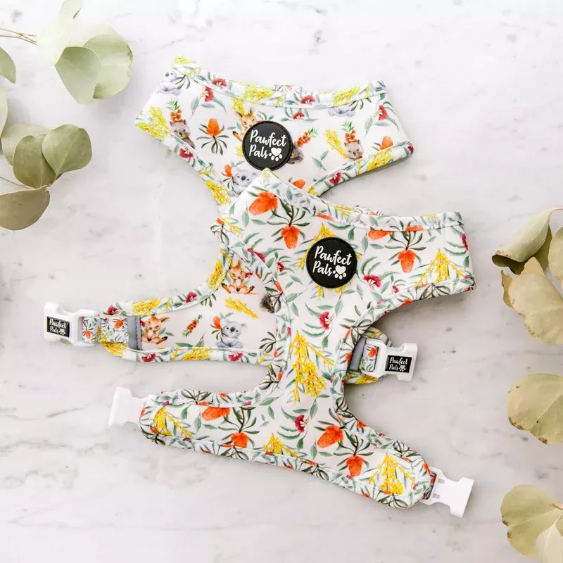 australian-beauties-reversible-dog-harness Australian Beauties – Reversible Dog Harness