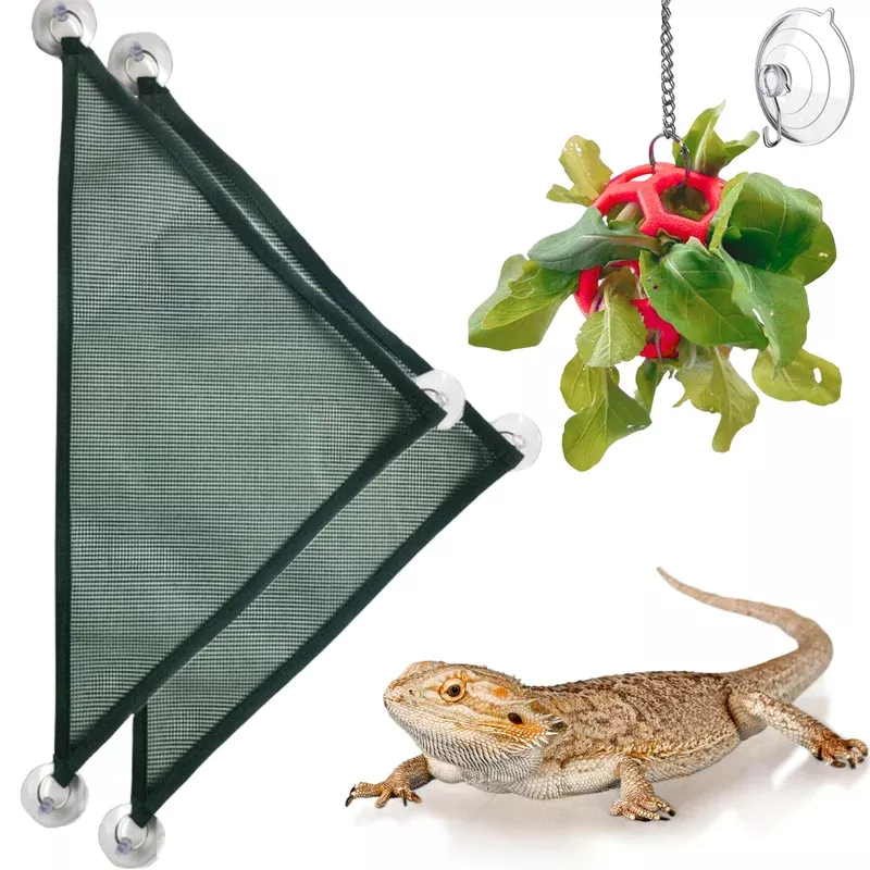 bearded-dragon-reptile-hammock-enrichment-cage-accessories-bearded-dragon-feeder Bearded Dragon Reptile Hammock Enrichment Cage Accessories Bearded Dragon Feeder Ball And Breathable Mesh Hammock Lizard Hammo
