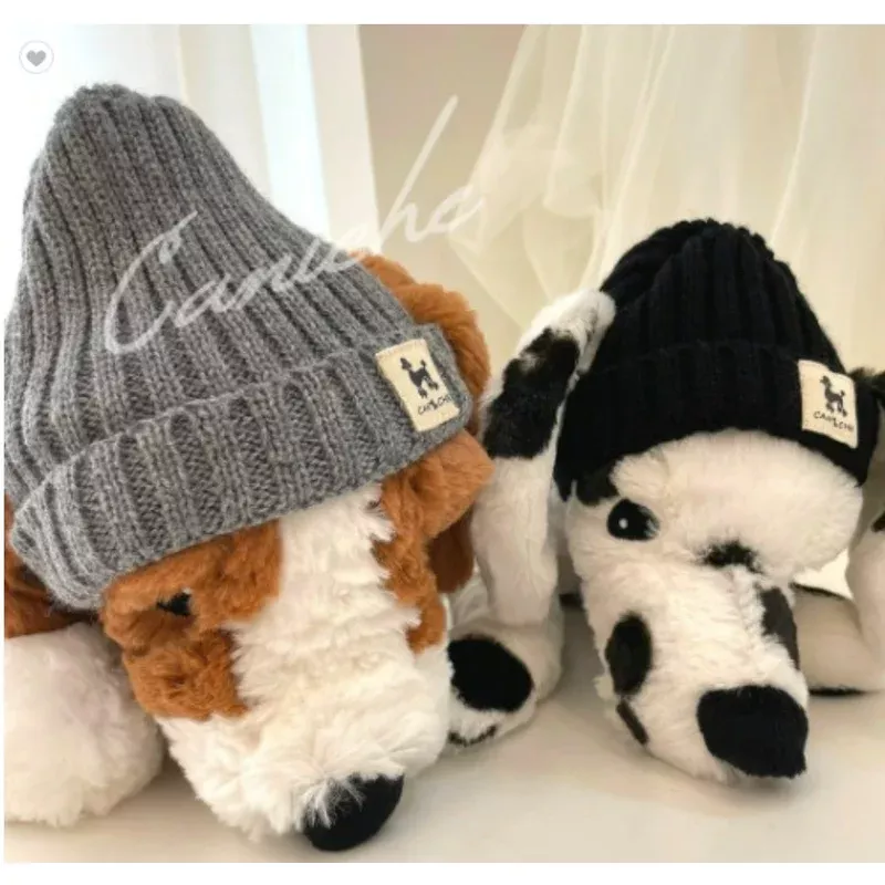 caniche-touque-dog-hum Caniche Touque for Dog and Hum