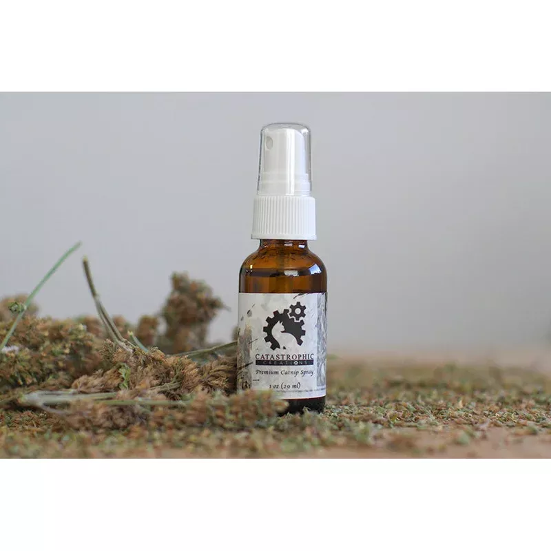 catnip-spray-cats Catnip Spray for Cats