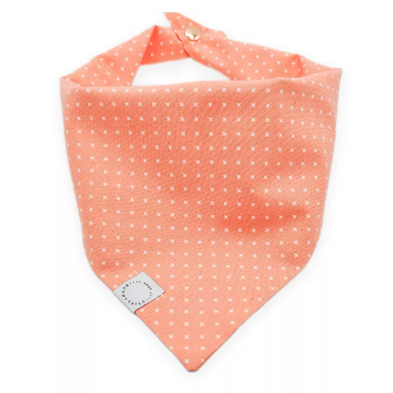 classic-melon-dog-bandana Classic Melon Dog Bandana