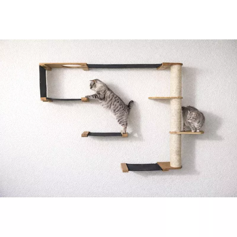 climb-condo-cat-wall-climbing-system The Climb Condo – Cat Wall Climbing System