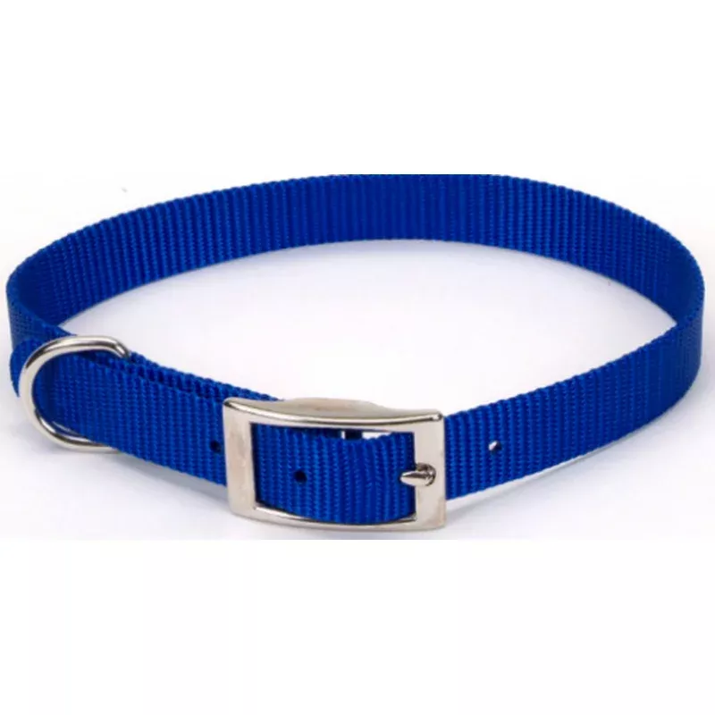 coastal-pet-products-standard-nylon-small-dog-collar Coastal Pet Products Standard Nylon Small Dog Collar