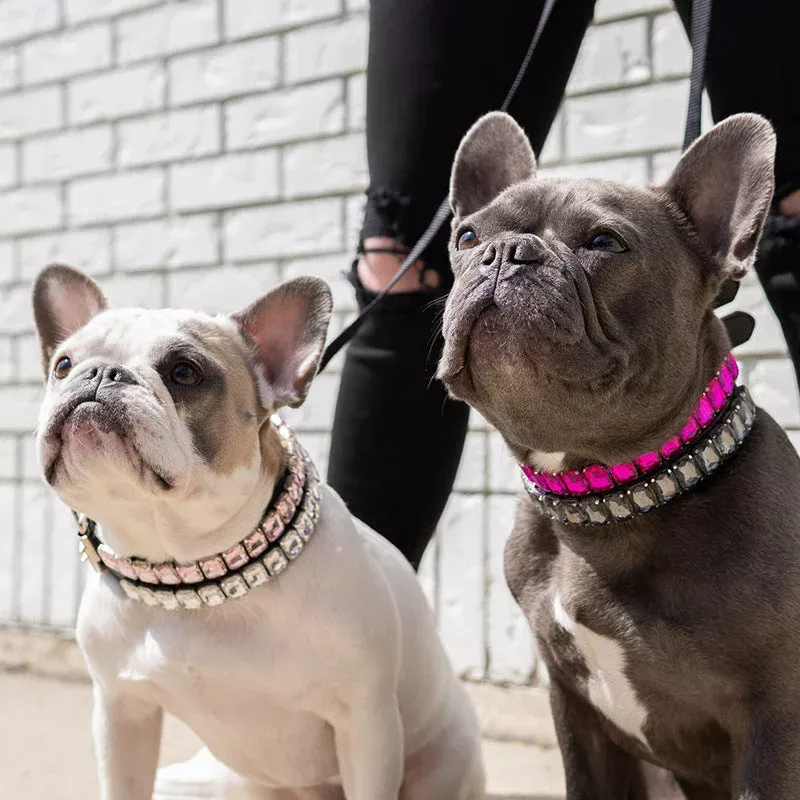 dog-collars-luxury-rhinestone Dog Collars Luxury Rhinestone