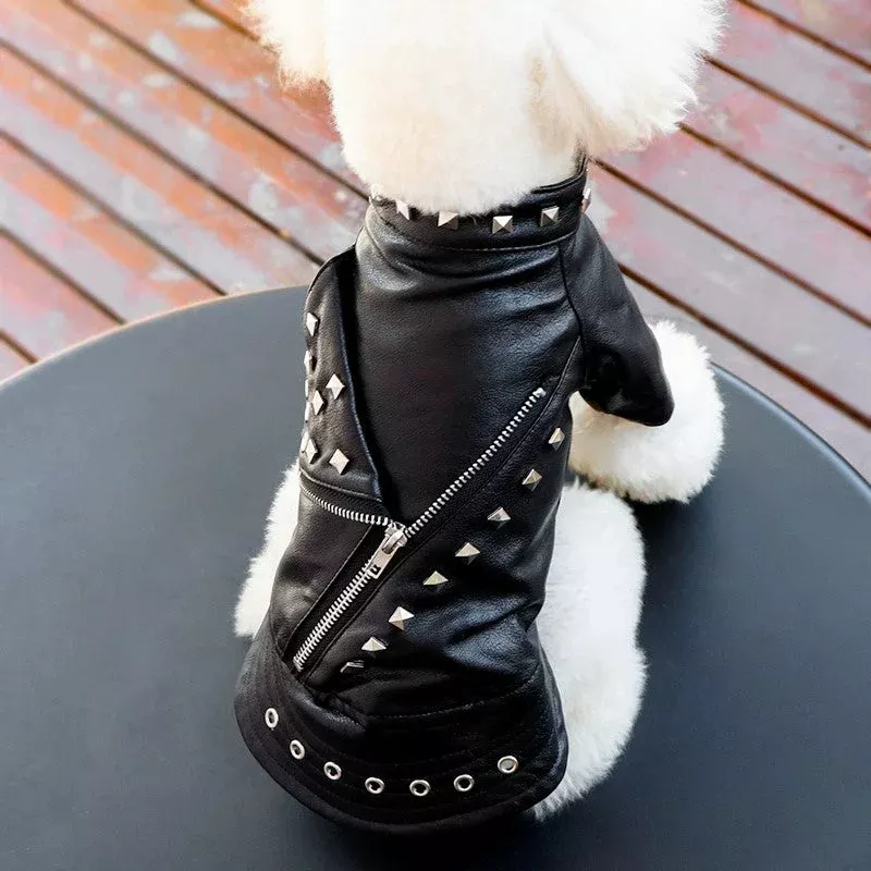 Dog Leather Jacket with Studs Punk Rock Style