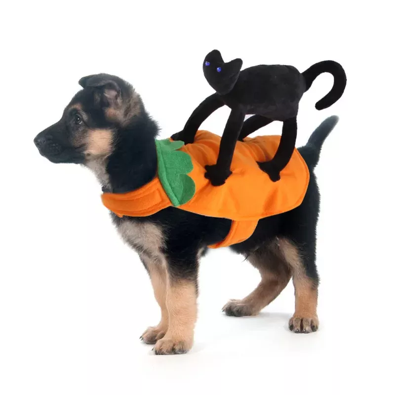 dog-pumpkin-costume-with-plush-black-cat-fleece Dog Pumpkin Costume with Plush Black Cat & Fleece