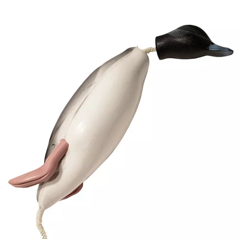 Dokken Dead Fowl Bufflehead