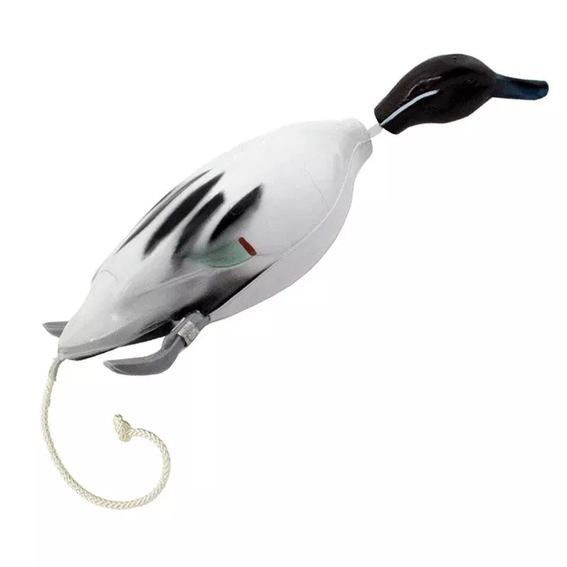 Dokken’s Dead Fowl Pintail