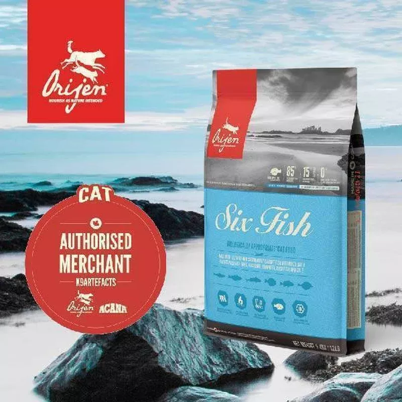 donation-to-cat-museum-orijen-whole-prey-diet-cat-6-fish-formula-5-4kg *DONATION TO THE CAT MUSEUM* Orijen Whole Prey Diet Cat 6 Fish Formula 5.4kg