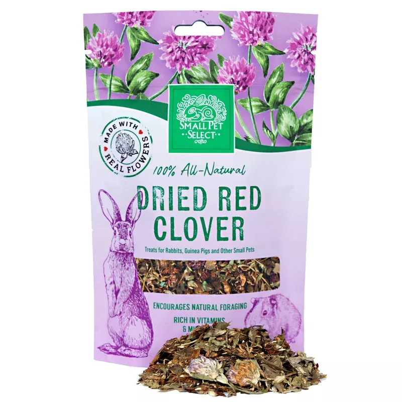 dried-red-clover Dried Red Clover