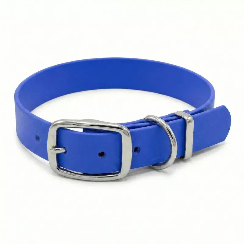 electric-blue-waterproof-biothane-buckle-dog-collar Electric Blue Waterproof Biothane Buckle Dog Collar