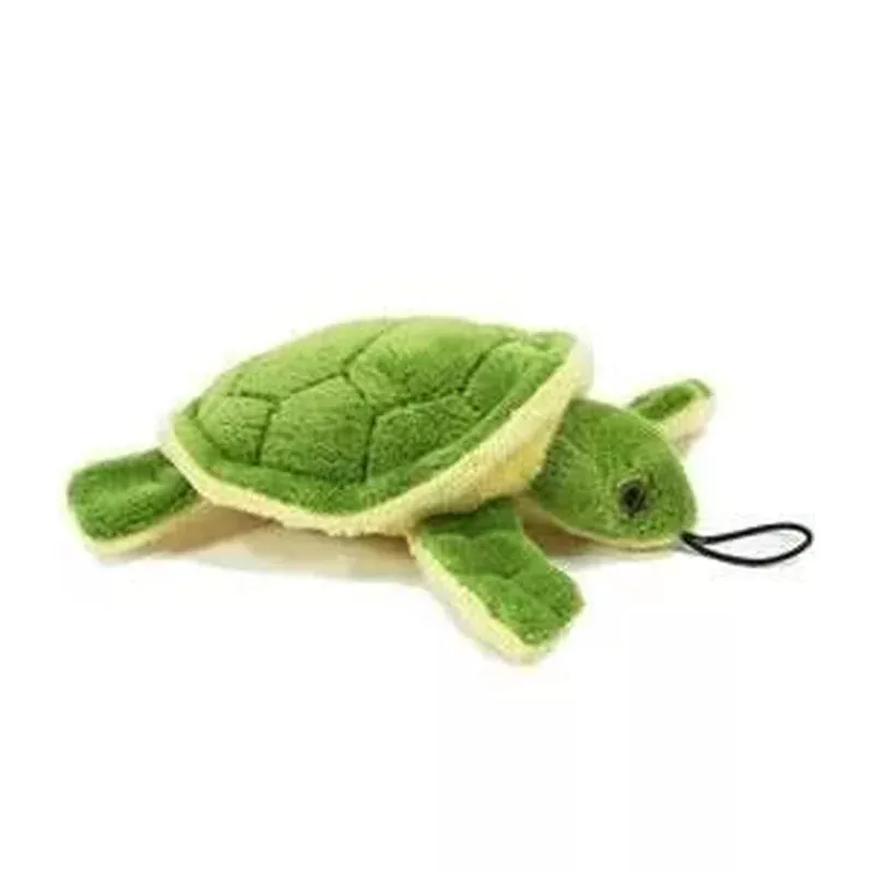 esmeralda-turtle Esmeralda Turtle