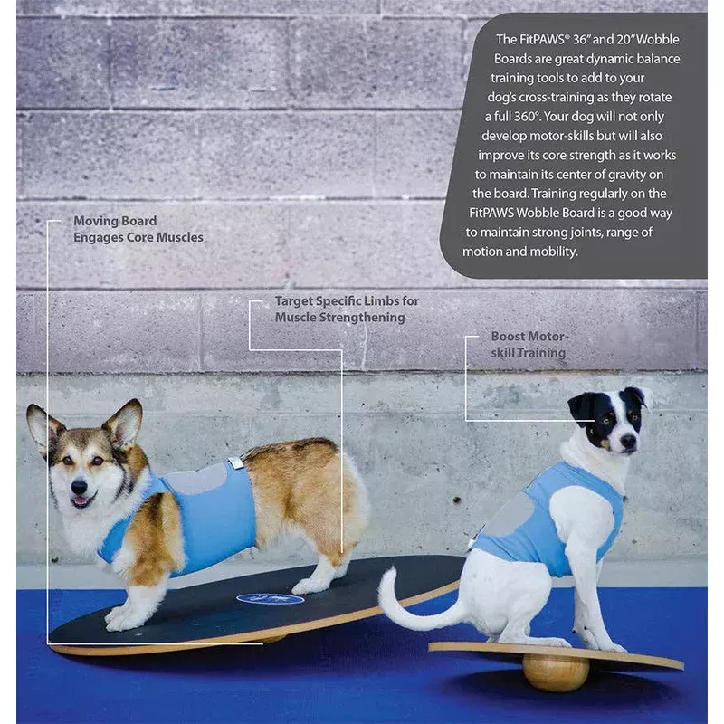 fitpaws-fitpaws-wobble-board-dog-balance-training-platform FitPAWS – FitPaws Wobble Board Dog Balance Training Platform