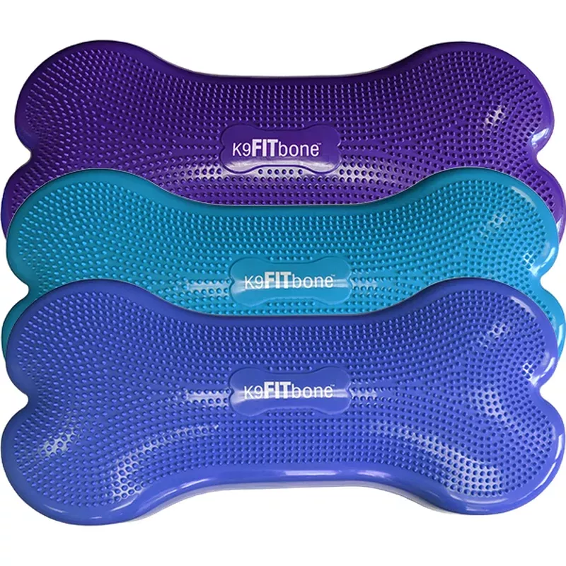 fitpaws-giant-k9fitbone-dog-balance-training-platform FitPAWS – Giant K9FITbone Dog Balance Training Platform