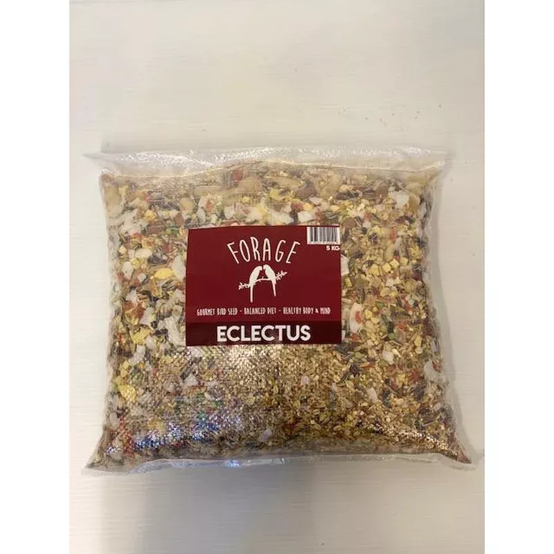 forage-eclectus-gourmet-bird-seed-5kg Forage Eclectus Gourmet Bird Seed 5kg
