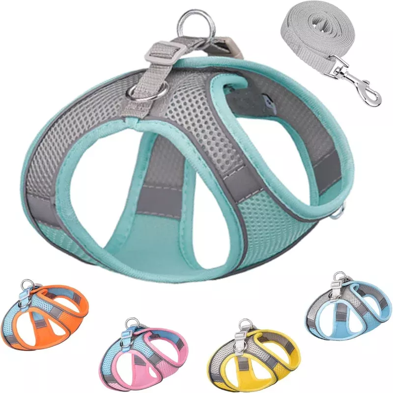 harness-colorblocked-mesh-bust-gray-blue-xs Harness Colorblocked Mesh Bust Gray Blue Xs