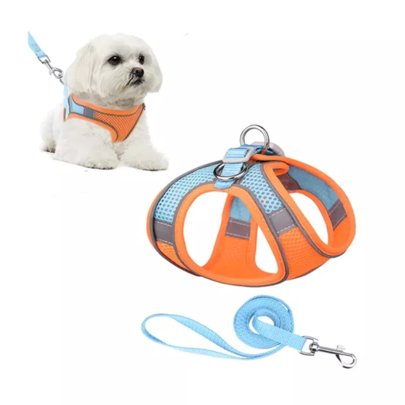 harness-colorblocked-mesh-bust-orange-blue-xs Harness Colorblocked Mesh Bust Orange Blue Xs