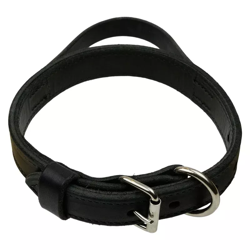 Heavy Leather Dog Collar With Handle – 1.25″ Wide