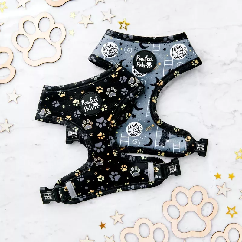i-love-you-beary-much-reversible-dog-harness I Love You BEARy Much – Reversible Dog Harness