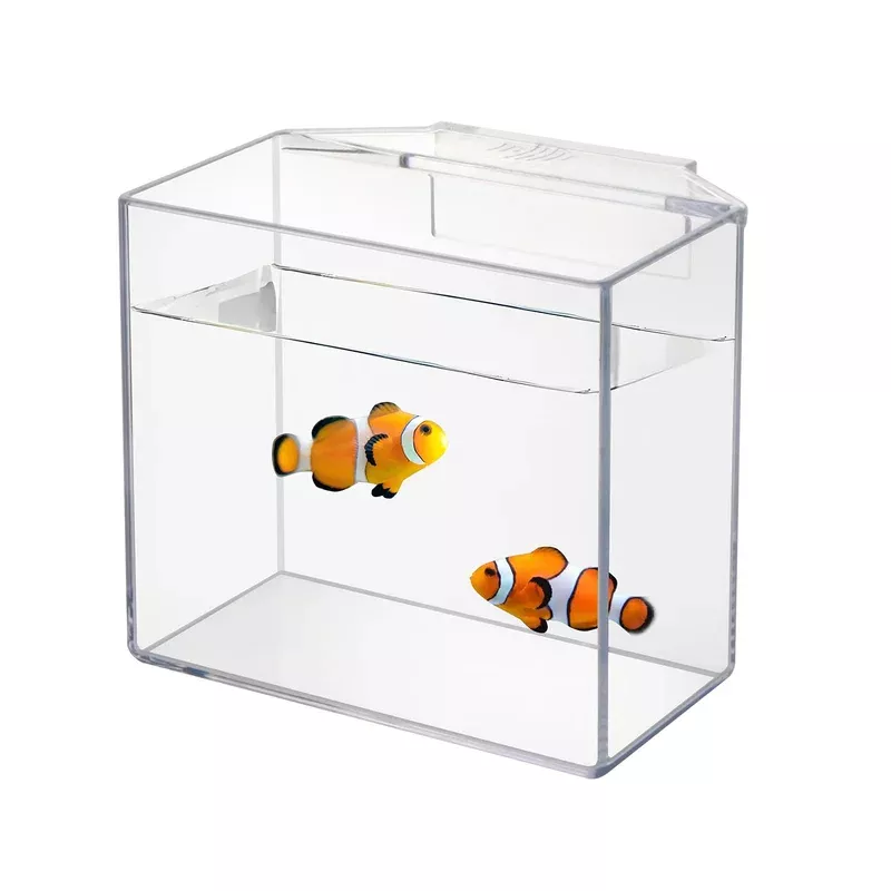 ioaoi-drip-acclimation-container-fish-corals-hanging-acclimation-box-saltwater-f Ioaoi Drip Acclimation Container For Fish & Corals – Hanging Acclimation Box For Saltwater & Freshwater Aquariums Small