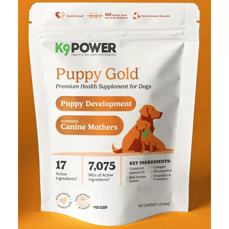 K9 Power Puppy Gold
