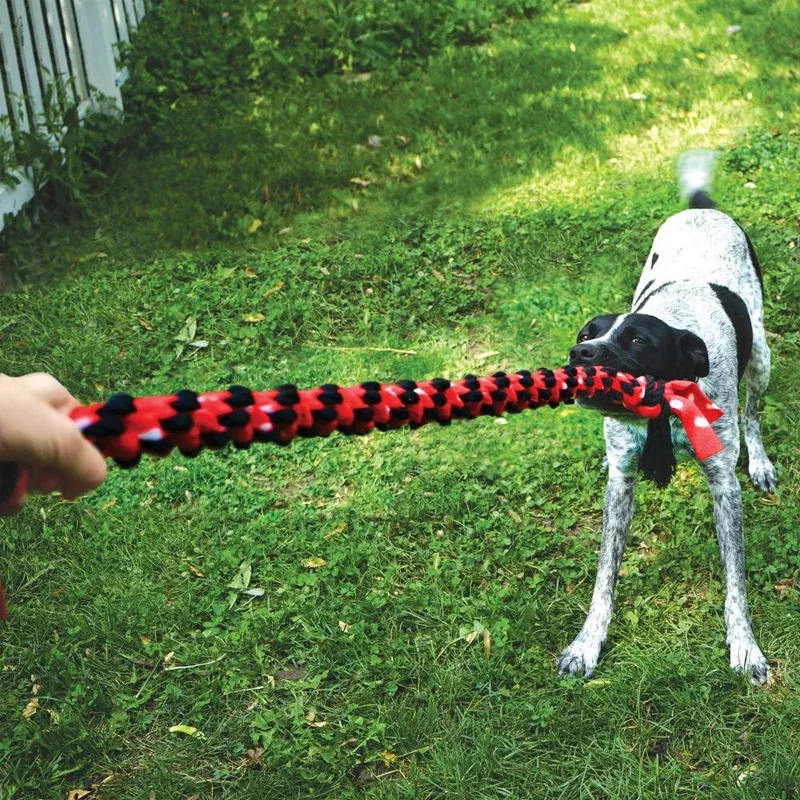 kong-signature-rope-knot-toy Kong Signature Rope Knot Toy