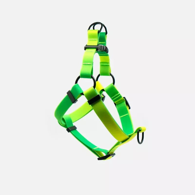 lime-margarita-waterproof-step-in-harness Lime Margarita | Waterproof Step-In Harness