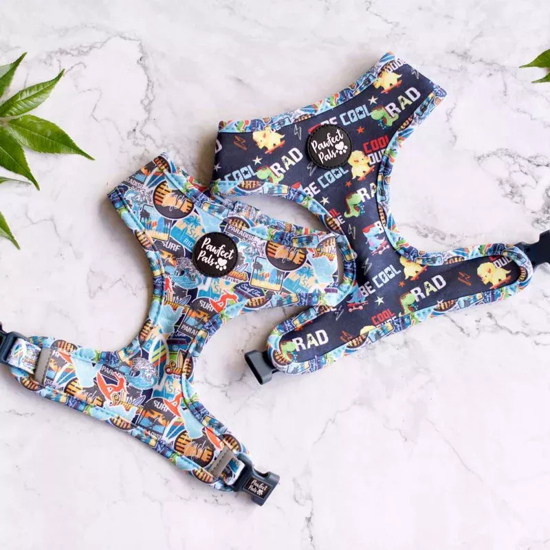 little-dude-reversible-dog-harness Little Dude – Reversible Dog Harness