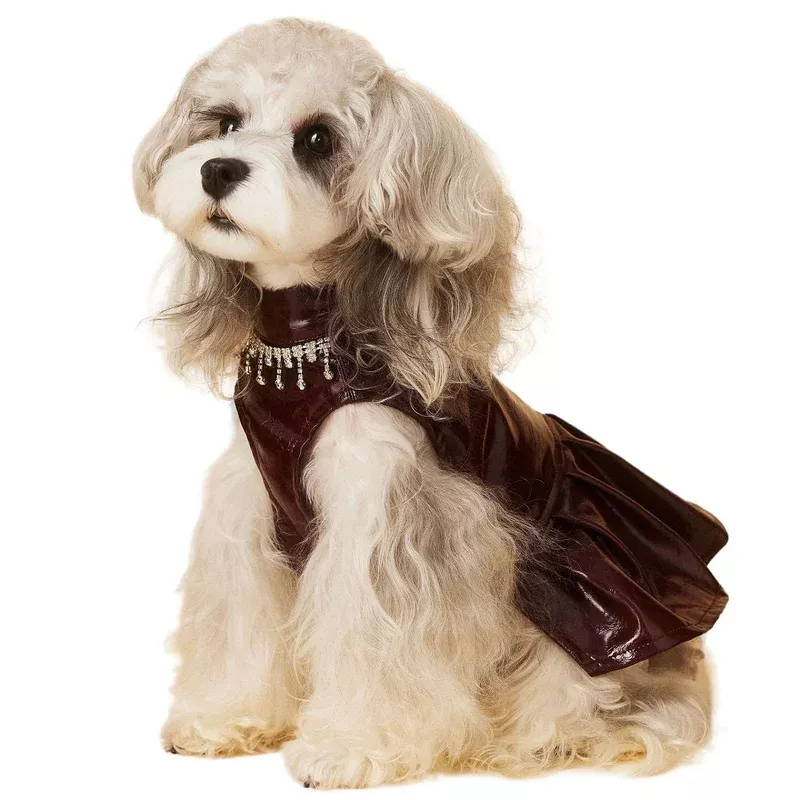 luxe-leather-pet-beret-dress-with-hat Luxe Leather Pet Beret Dress With Hat