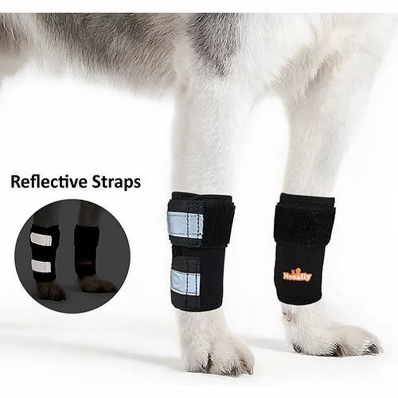neoally-dog-front-leg-braces-enhance-safety-with-reflective-straps-pair NeoAlly Dog Front Leg Braces: Enhance Safety with Reflective Straps (Pair)