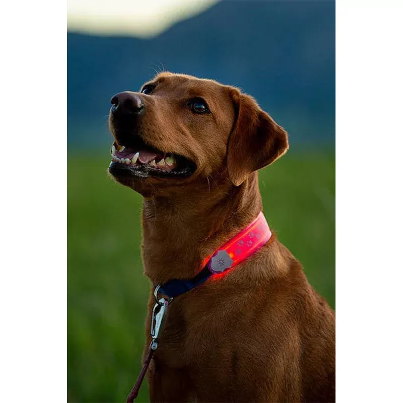 Nite Ize Rechargeable LED Collar Cover