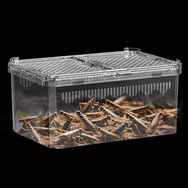 no-assembly-breathable-secure-reptile-tank-with-high-transparency-ideal-containe ?No Assembly? Breathable And Secure Reptile Tank With High Transparency – Ideal Container House For Hermit Crab Tarantula Enclo
