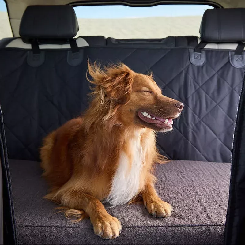 Orthopedic Dog Car Bed (Dark)
