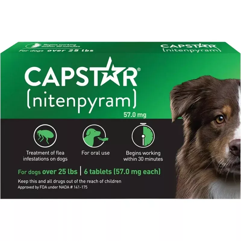 pack-6-tablet-flea-infestations-over-25lb-dogs-by-capstar Pack of 6 Tablet For Flea Infestations Over 25Lb Dogs by Capstar