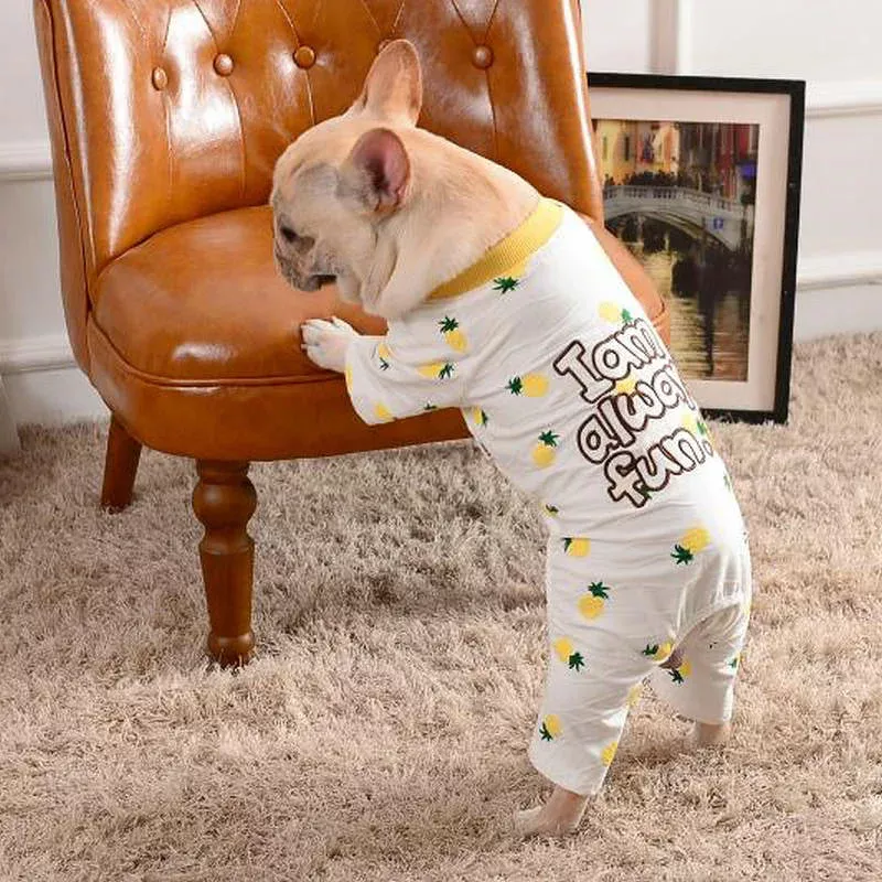 pineapple-dog-pajamas-i-am-always-fun-jumpsuit Pineapple Dog Pajamas I Am Always Fun Jumpsuit