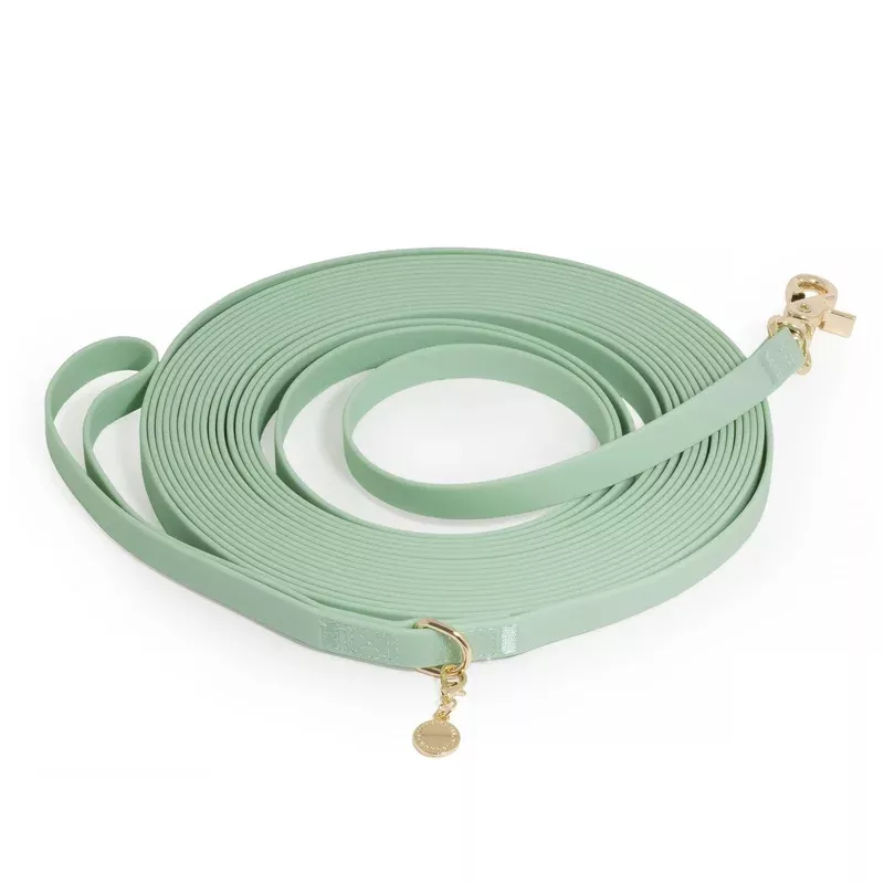 pistachio-green-waterproof-cloud-30-ft-dog-leash Pistachio Green Waterproof Cloud 30 Ft Dog Leash