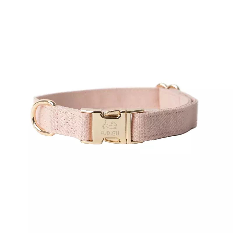 Powder Rose Canvas Dog Collar