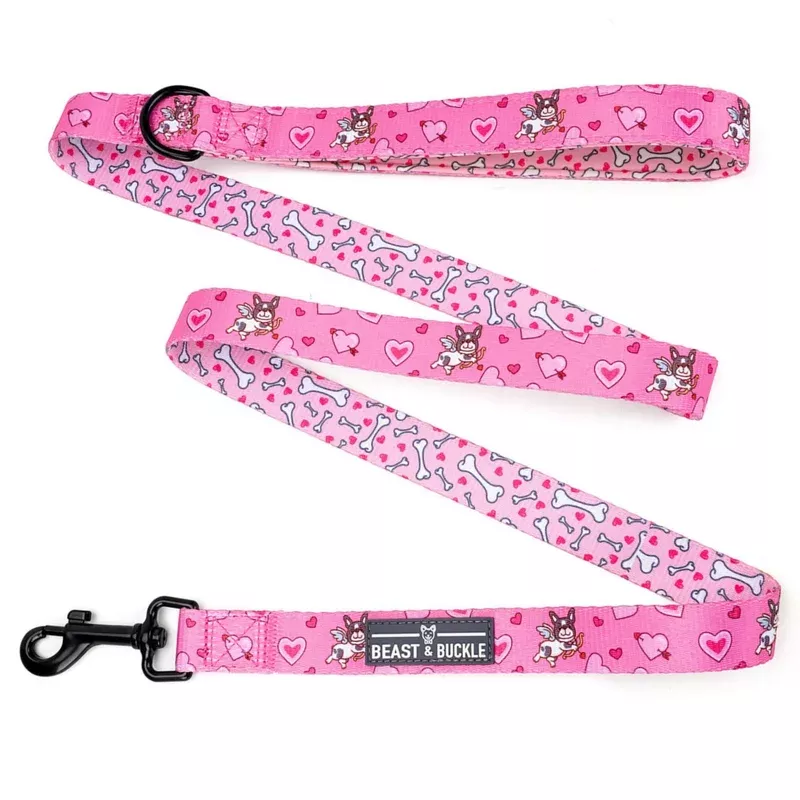 Puppy Love Dog Leash