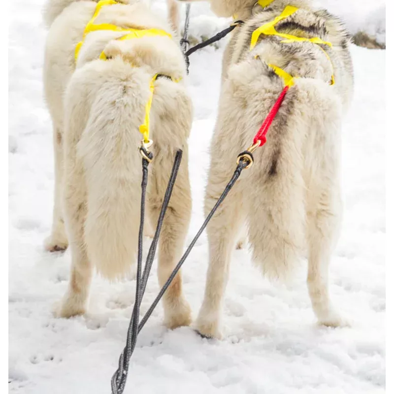 racing-tug-line-with-bungee-leash Racing Tug Line with Bungee Leash