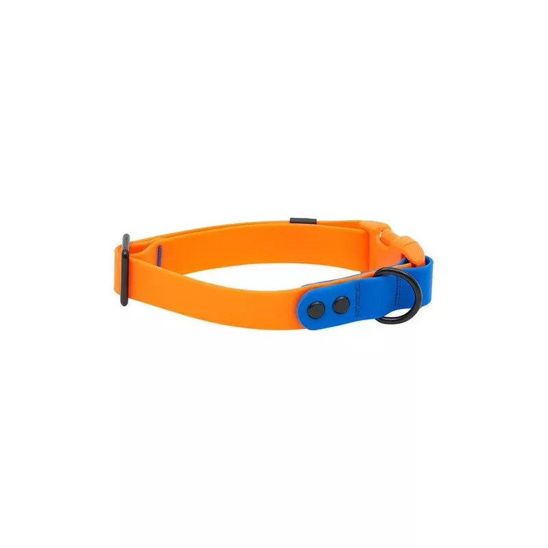 RC Pets Waterproof Azalea and Orange Dog Collar