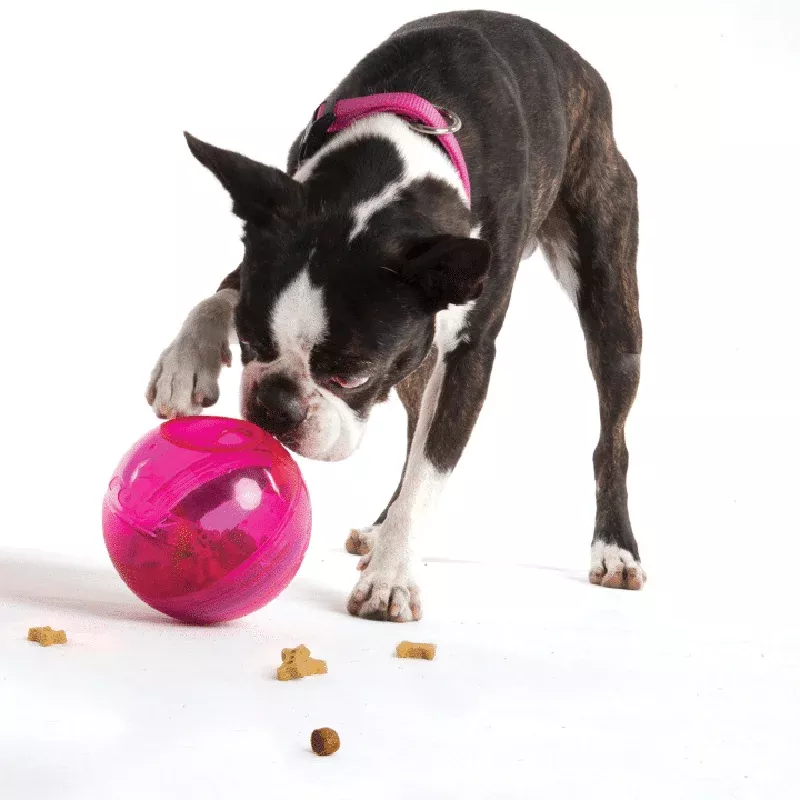 rogz-tumbler-treat-dispenser-toy ROGZ TUMBLER TREAT DISPENSER TOY