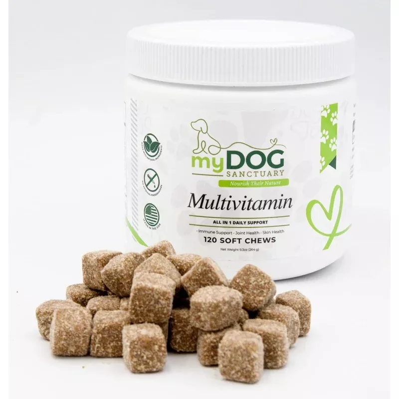 Sanctuary Strength Daily Multivitamin Chews