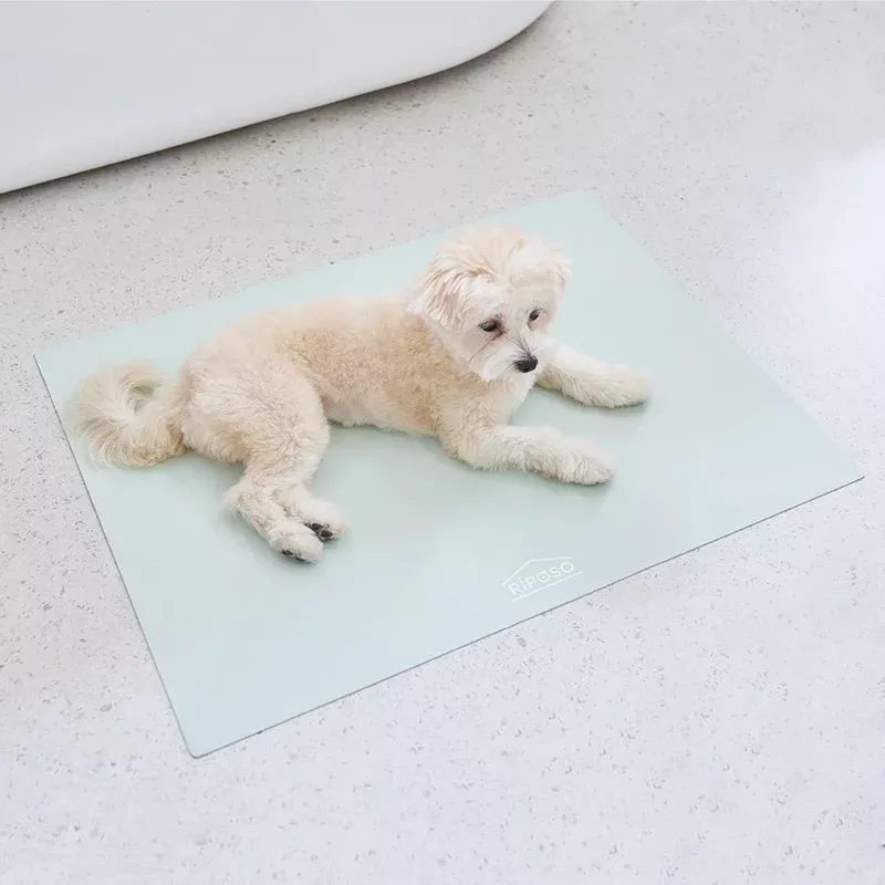 silicon-pet-mat-m-sq-mint Silicon Pet Mat M Sq Mint