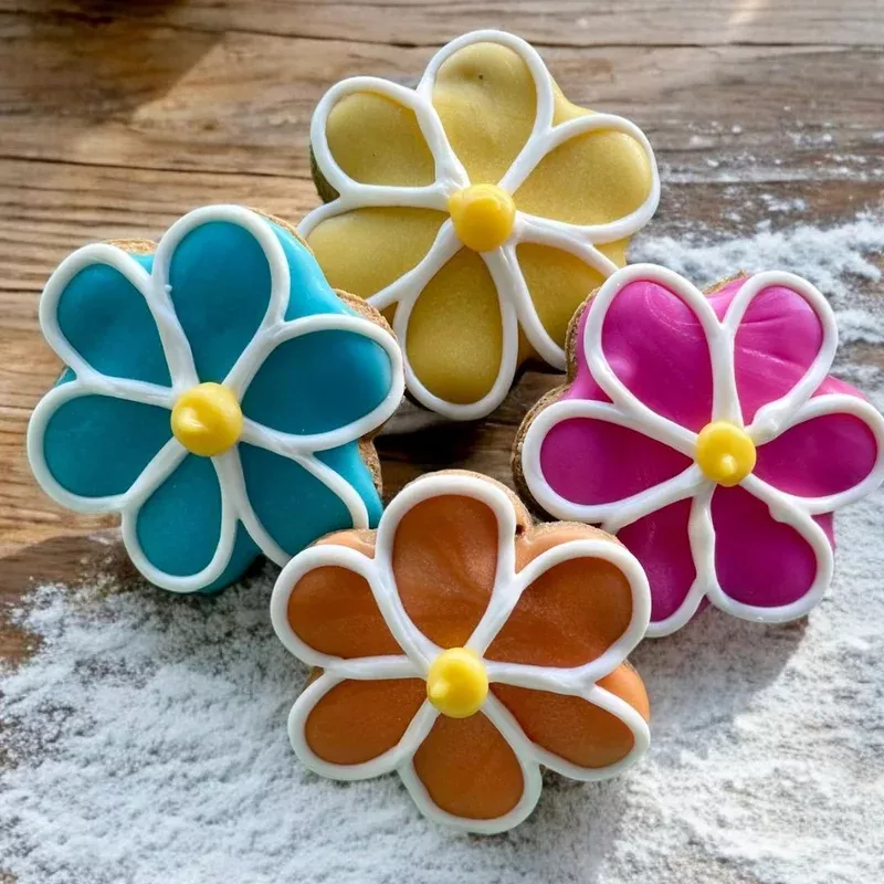 Spring Flowers Dog Treat Box – 6 count
