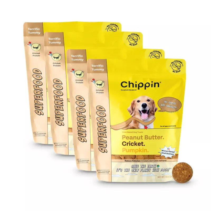 Superfood Cricket & Pumpkin Dog Treats 4-Pack