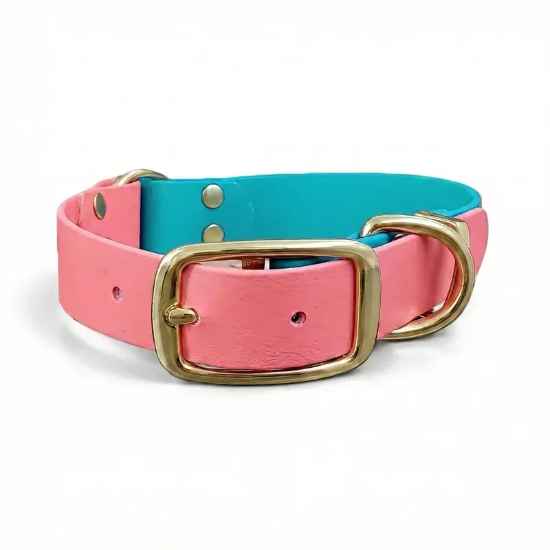 teal-coral-multicolour-waterproof-biothane-buckle-dog-collar Teal & Coral Multicolour Waterproof Biothane Buckle Dog Collar